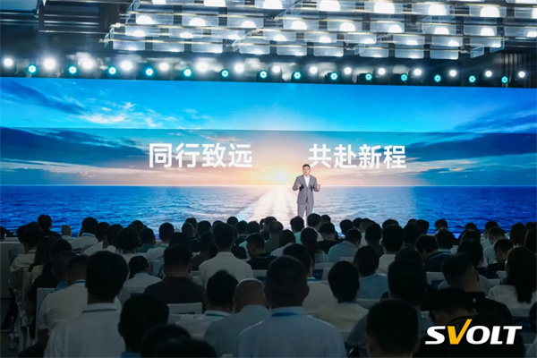 蜂巢能源杨红新：我们不在这一轮扩产